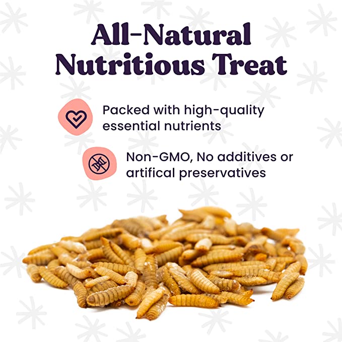 Whole Dried Black Soldier Fly Larvae (BSFL) 1 lbs