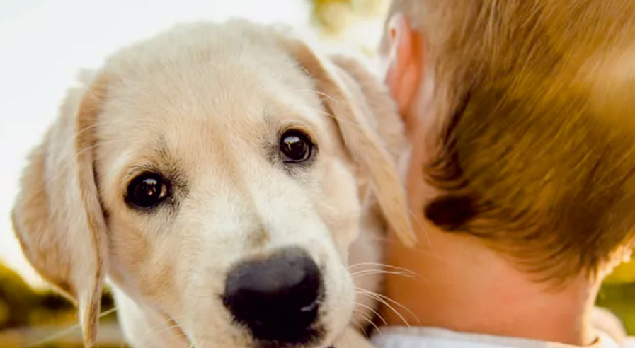 Fun Ways to Exercise  With Your Pet